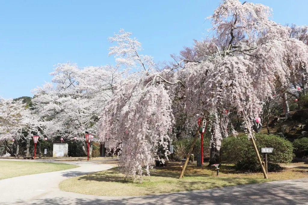 🏞️ 오제키산 공원(오제키야마 코엔)
